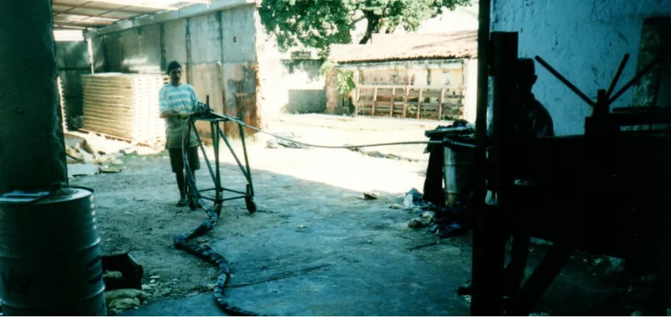 História da IBF