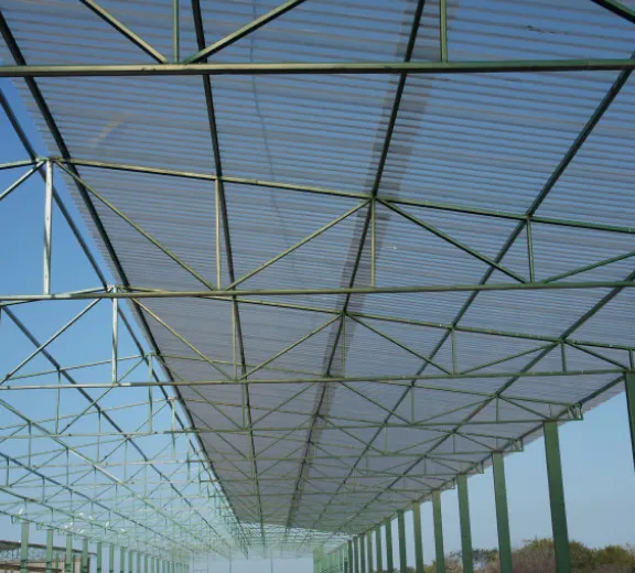 projeto entregue pela IBF